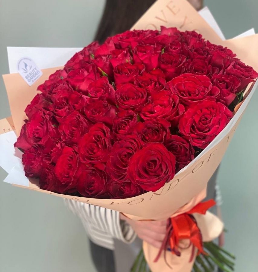51 роза высокая красная роза 60-70 см.