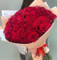 51 роза высокая красная роза 60-70 см.