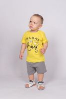 Комплект для мальчика футболка+шорты 42107 (М) [желтый/серый]