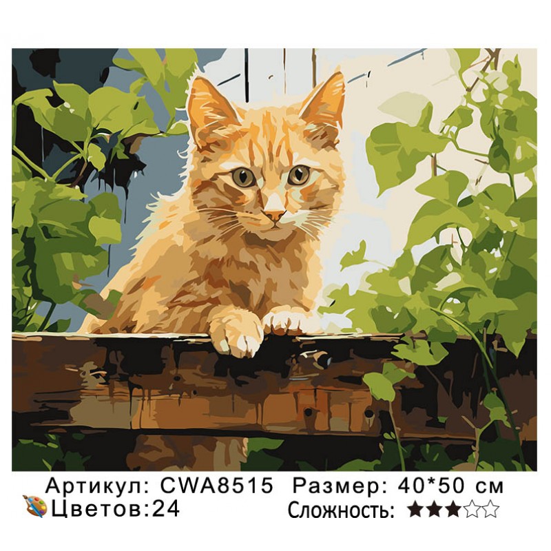 Картина по номерам на  подрамнике CWA8515 с цветным холстом