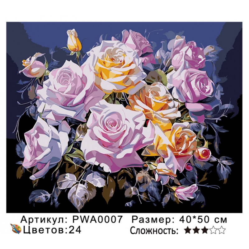 Картина по номерам на  подрамнике PWA0007 с цветным холстом