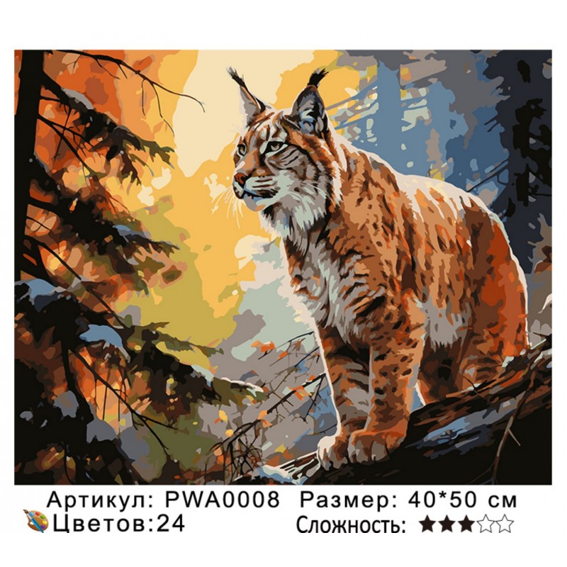 Картина по номерам на  подрамнике PWA0008 с цветным холстом
