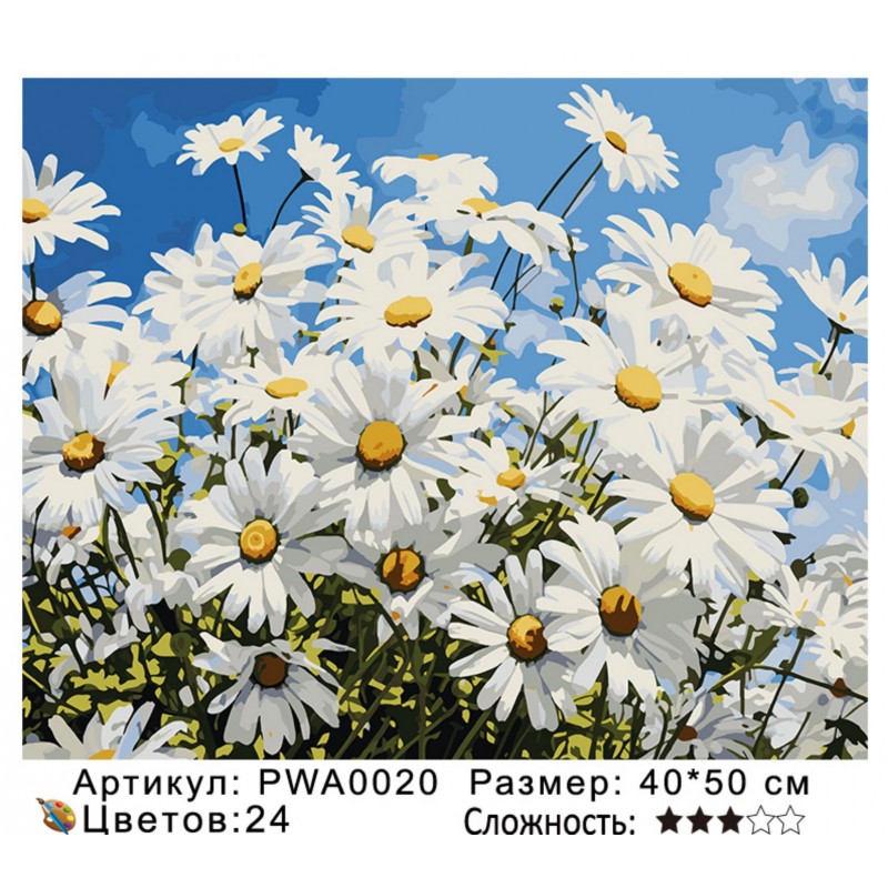 Картина по номерам на  подрамнике PWA0020 с цветным холстом
