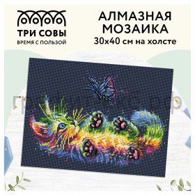 Набор для творч.ТРИ СОВЫ Алмазная мозаика "Игра в неоне" 30*40см АМП3040_47540