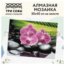 Набор для творч.ТРИ СОВЫ Алмазная мозаика "Орхидеи на камнях" 30*40см АМП3040_47523