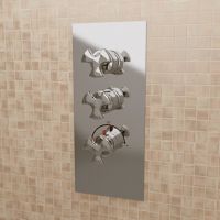 Смеситель Flaminia Evergreen Concealed Thermostatic Shower Mixer 2-Outlets схема 1