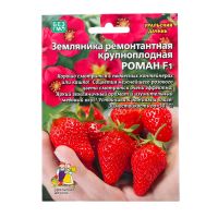 Семена Земляника "Роман" , 5 шт