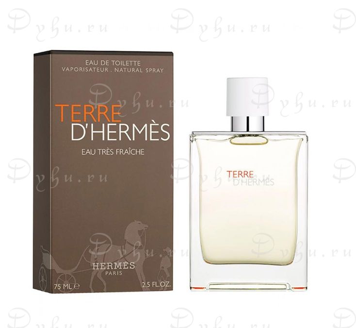 Hermes Terre D'Hermes Eau Tres Fraiche