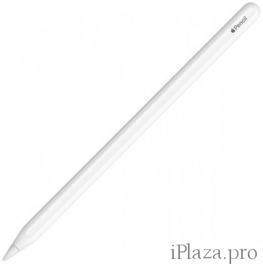 Apple Pencil Pro (2024)