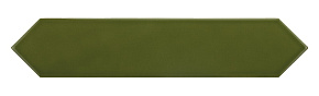 ARROW GREEN KELP 5X25ARROW