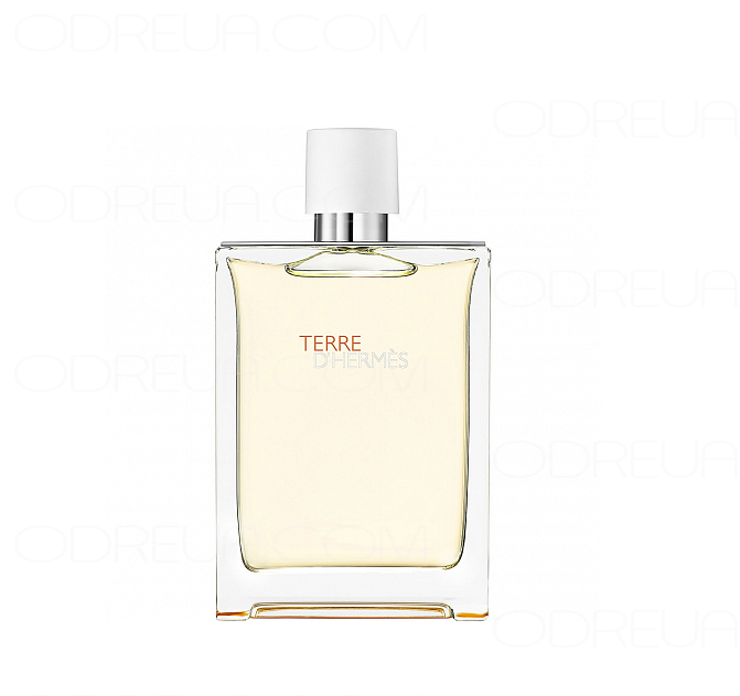 Terre D'Hermes Eau Tres Fraiche