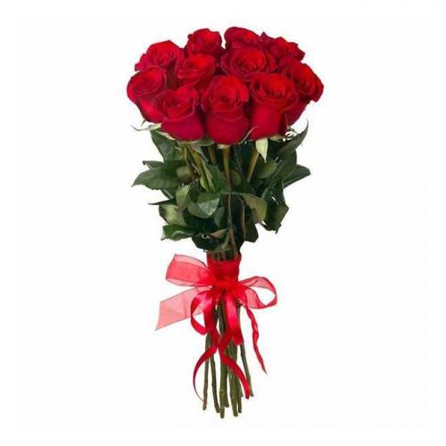 Красные высокие розы Колумбия Premium